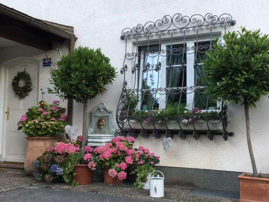 Dachwohnung Mit Seeblick Altmünster Εξωτερικό φωτογραφία
